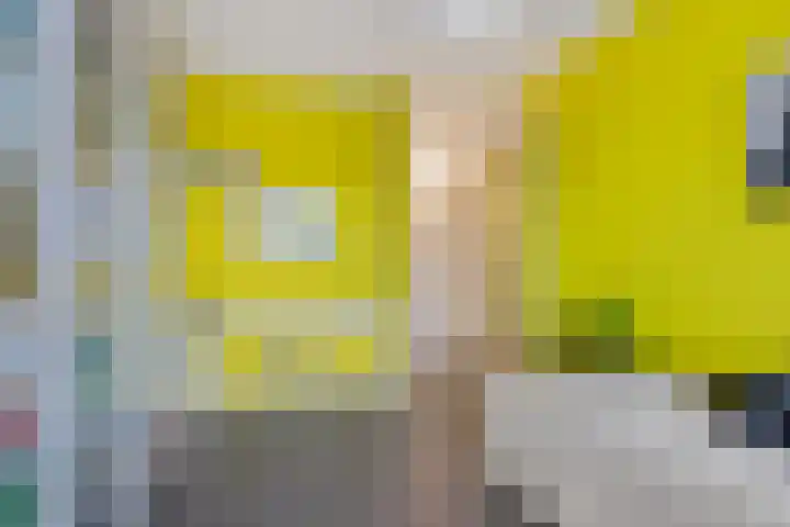 Tanimbarkade 85 Utrecht thumbnail 25
