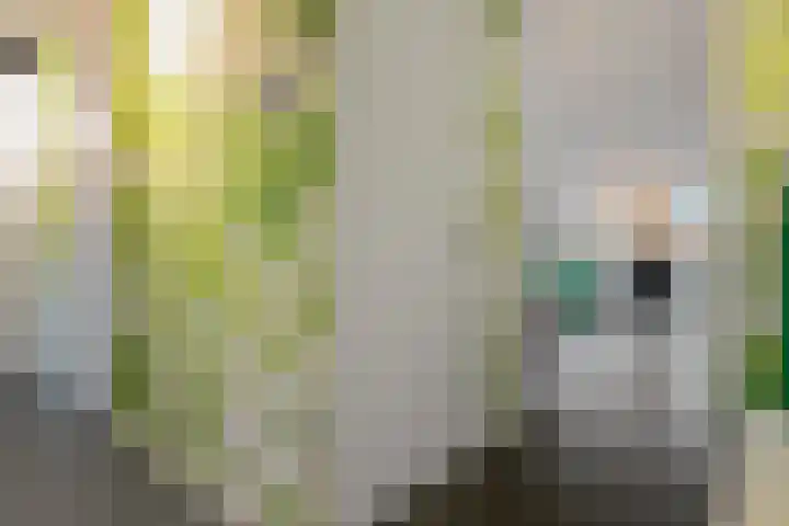 Tanimbarkade 85 Utrecht thumbnail 5