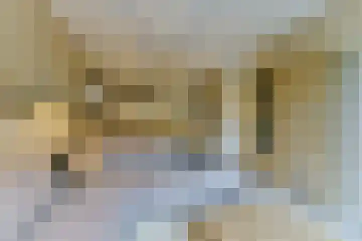 Tanimbarkade 93 Utrecht thumbnail 10