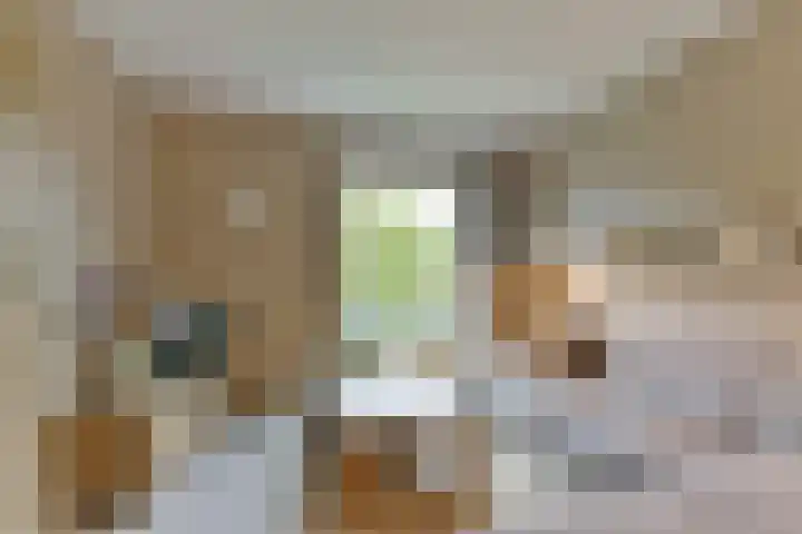 Tanimbarkade 93 Utrecht thumbnail 11