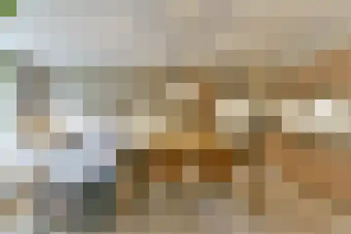 Tanimbarkade 93 Utrecht thumbnail 12