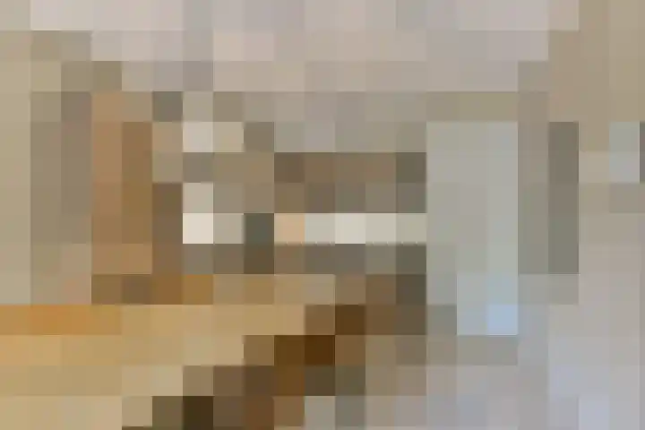 Tanimbarkade 93 Utrecht thumbnail 13