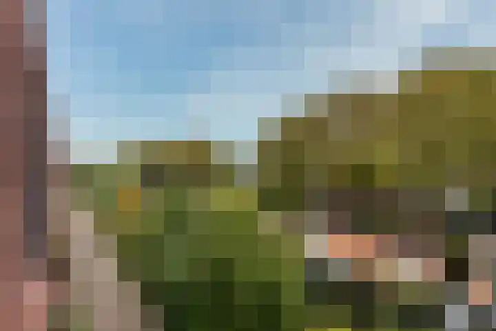 Tanimbarkade 93 Utrecht thumbnail 22