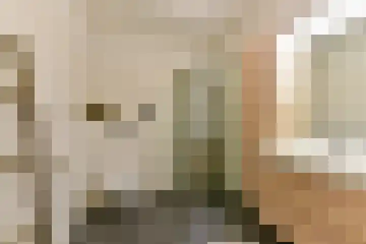 Tanimbarkade 93 Utrecht thumbnail 27