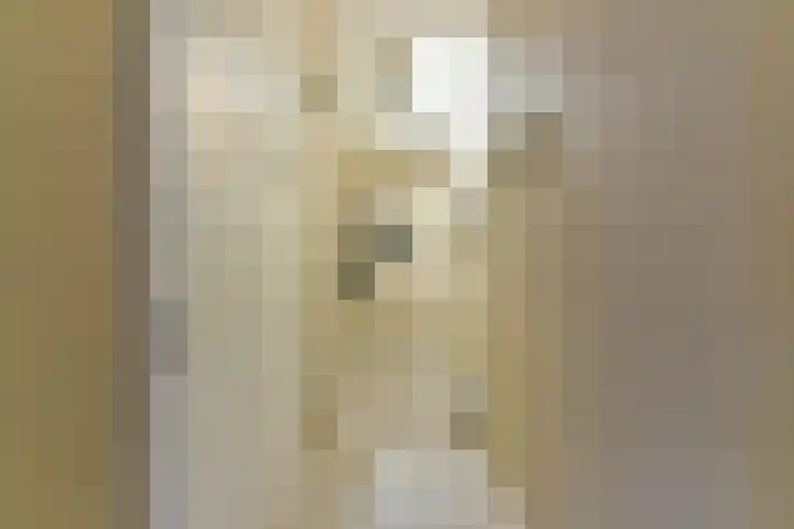 Tanimbarkade 93 Utrecht thumbnail 29