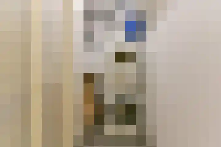 Tanimbarkade 93 Utrecht thumbnail 30