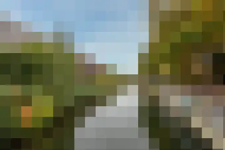 Tanimbarkade 93 Utrecht thumbnail 31