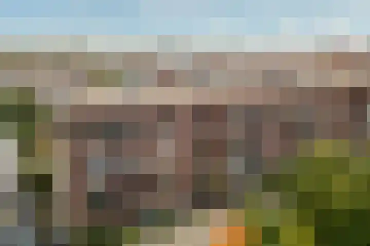 Tanimbarkade 93 Utrecht thumbnail 35