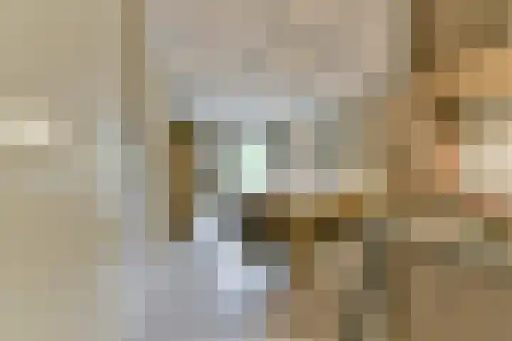 Tanimbarkade 93 Utrecht thumbnail 7