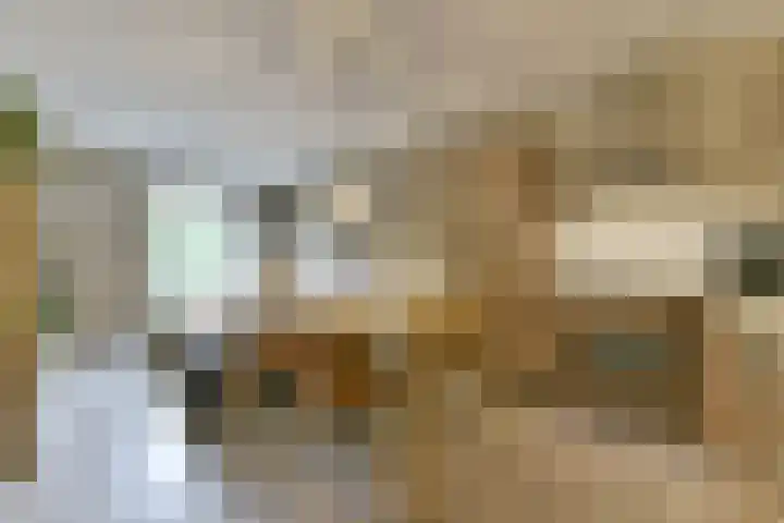 Tanimbarkade 93 Utrecht thumbnail 8