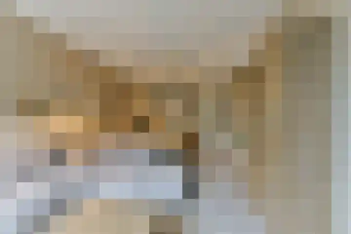Tanimbarkade 93 Utrecht thumbnail 9
