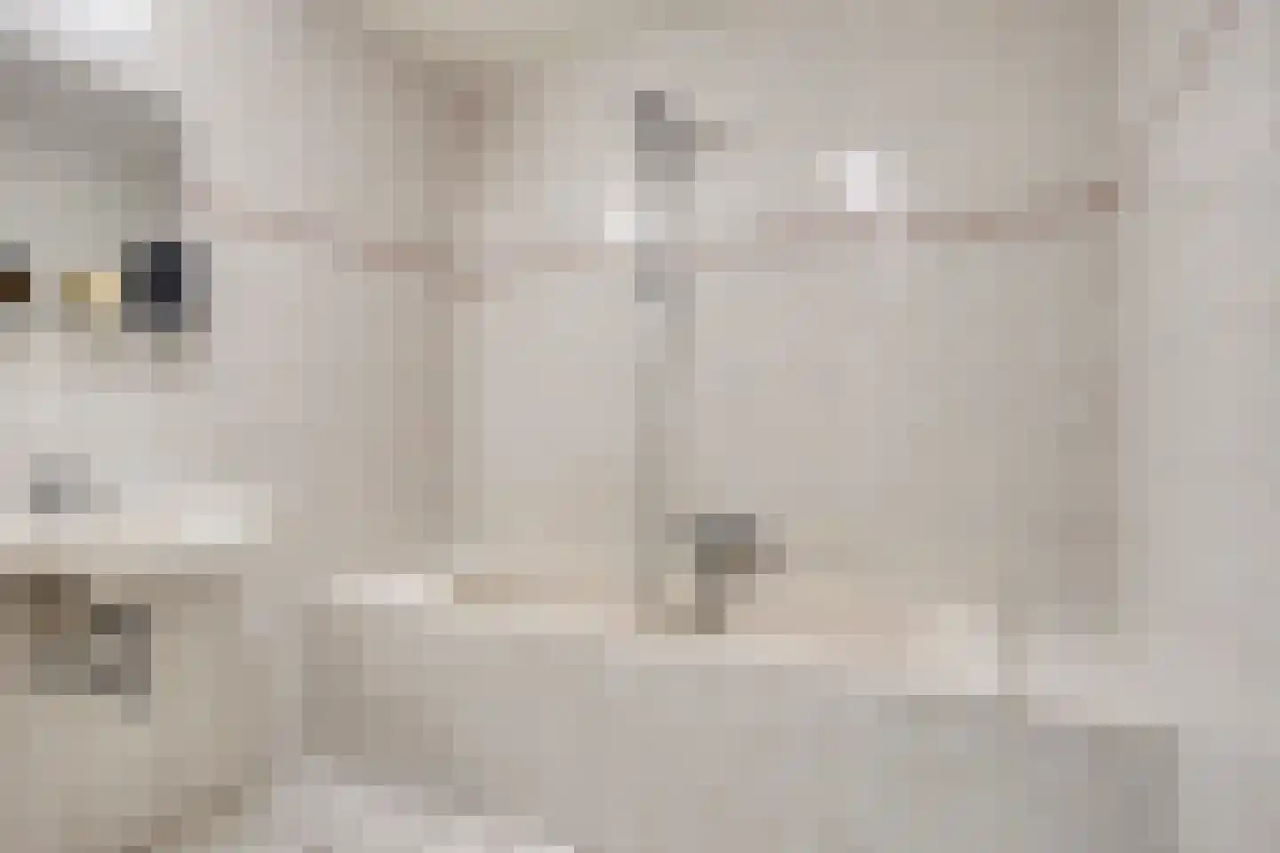 Tanimbarlaan 5 Eindhoven thumbnail 24