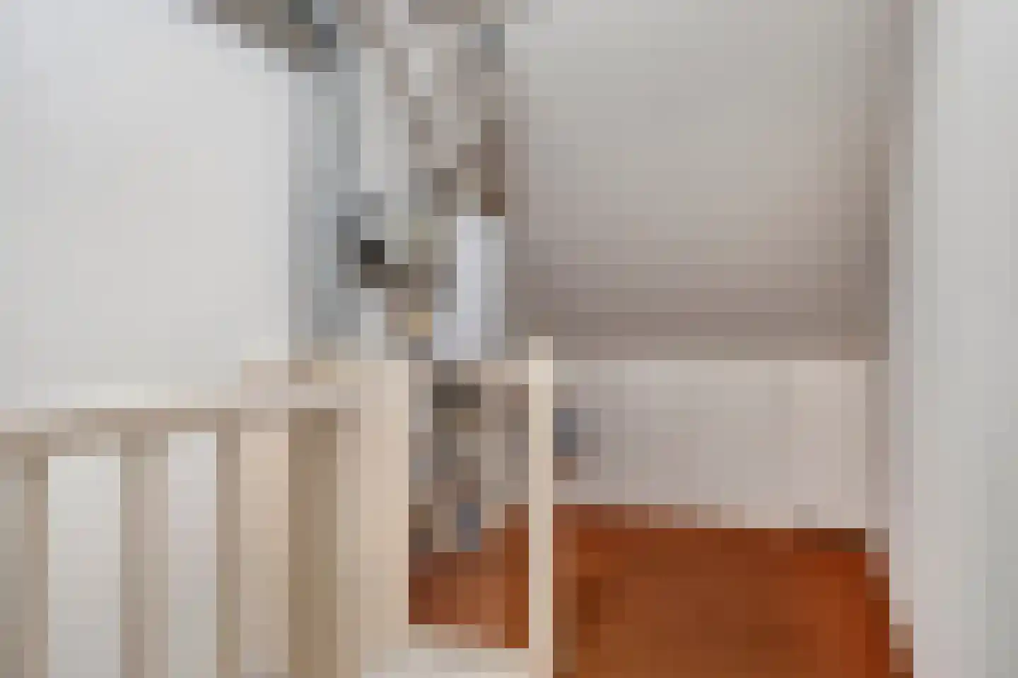 Tanimbarlaan 5 Eindhoven thumbnail 27