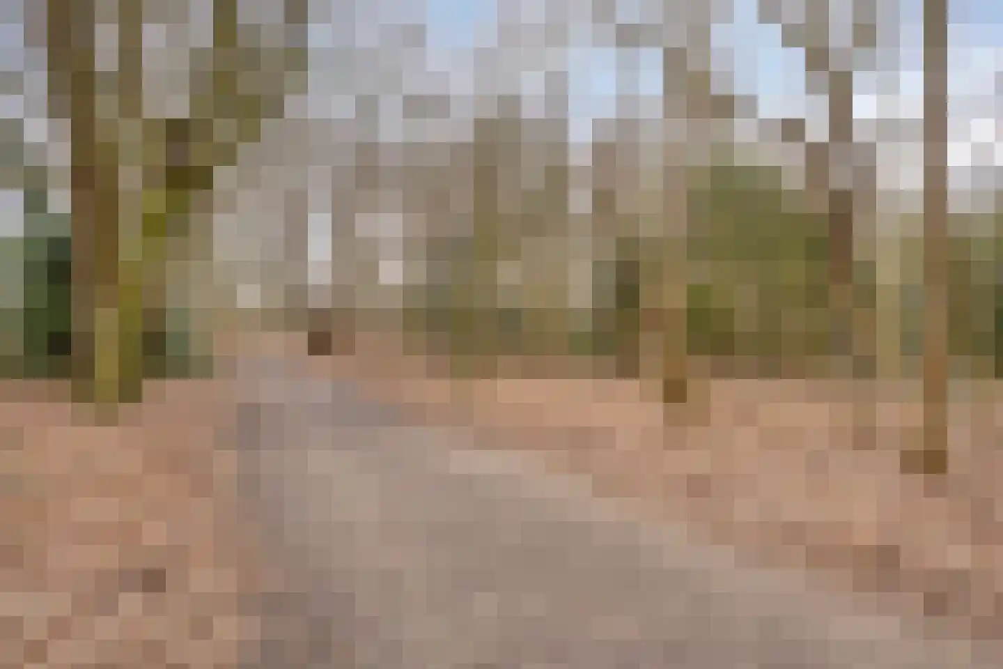 Tanimbarlaan 5 Eindhoven thumbnail 35