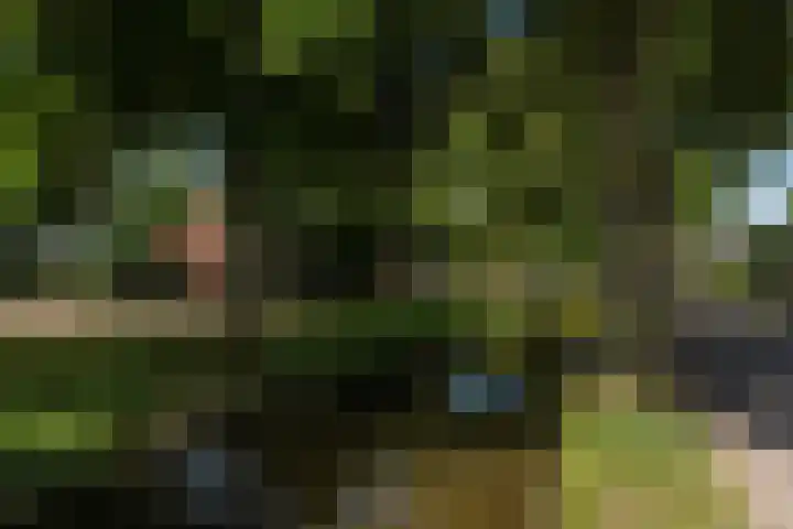 Tanjabuurt 7 Achlum thumbnail 4
