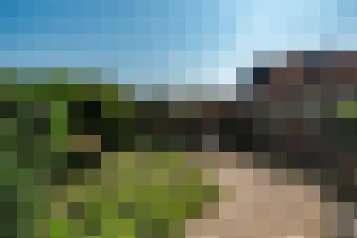 Tanjabuurt 7 Achlum thumbnail 7