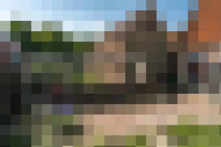 Tanjabuurt 7 Achlum thumbnail 9