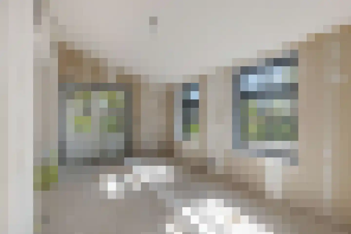 Tanjabuurt 8 A Achlum thumbnail 16