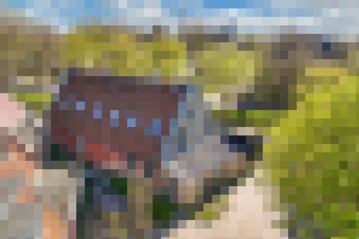 Tanjabuurt 8 A Achlum thumbnail 31