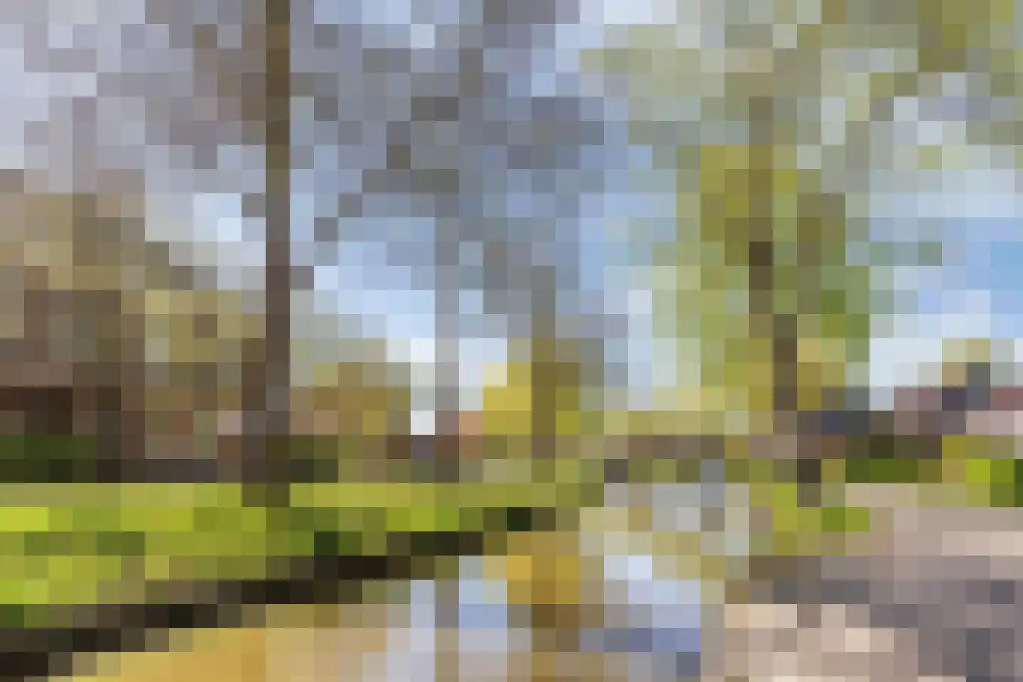 Tanjabuurt 8 A Achlum thumbnail 34
