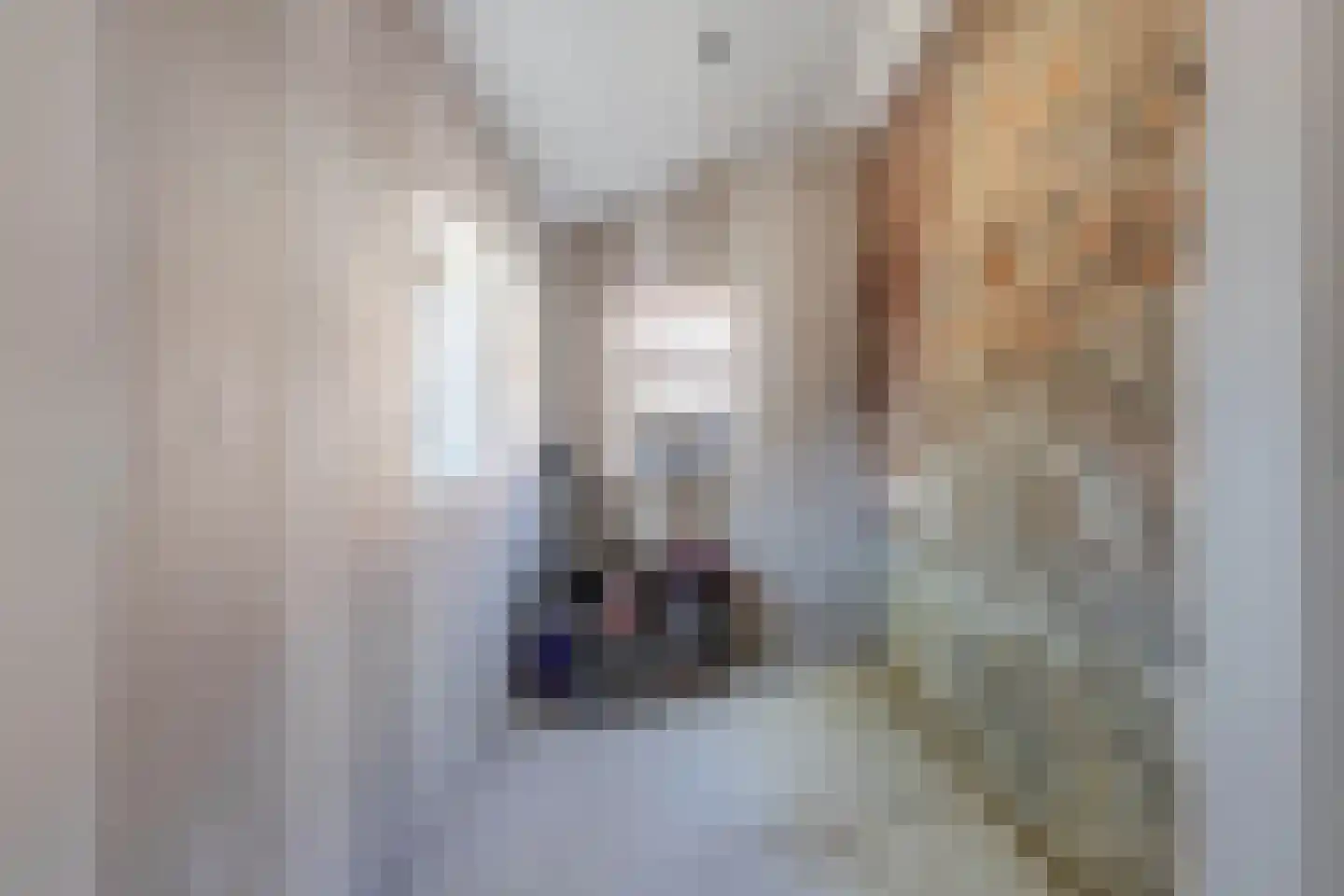 Tanjabuurt 8 A Achlum thumbnail 9