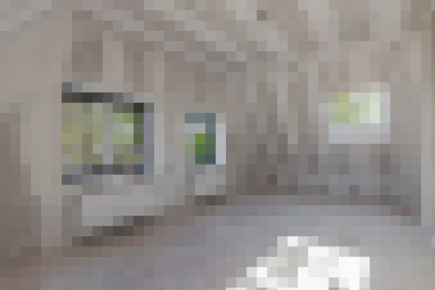 Tanjabuurt 8 Achlum thumbnail 18