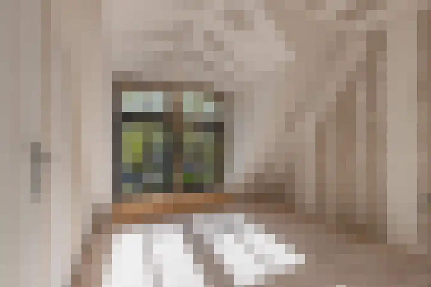 Tanjabuurt 8 Achlum thumbnail 21