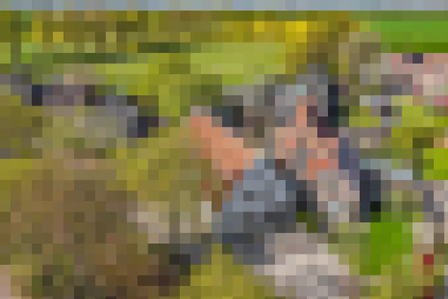 Tanjabuurt 8 Achlum thumbnail 25