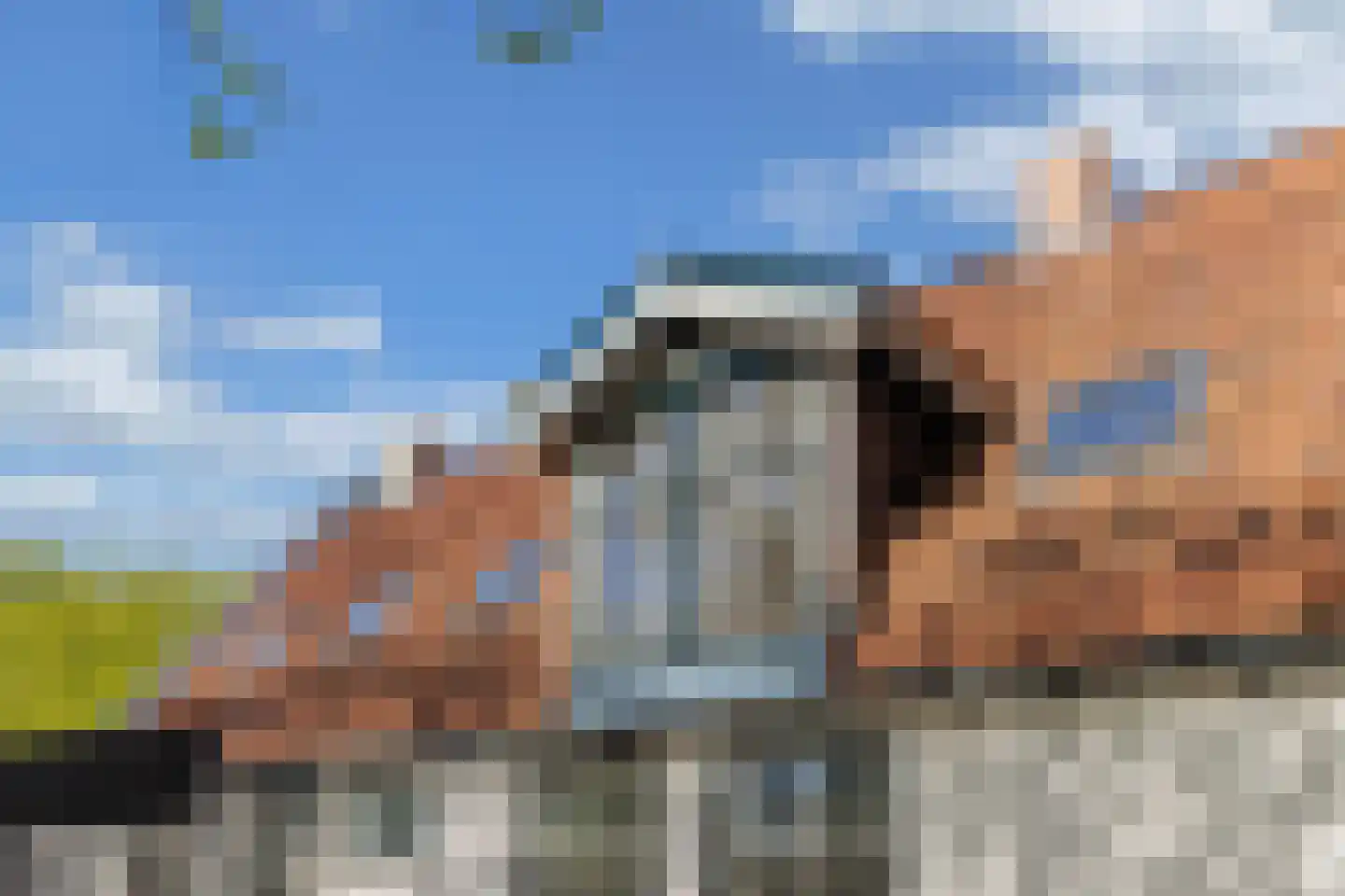 Tanjabuurt 8 Achlum thumbnail 28