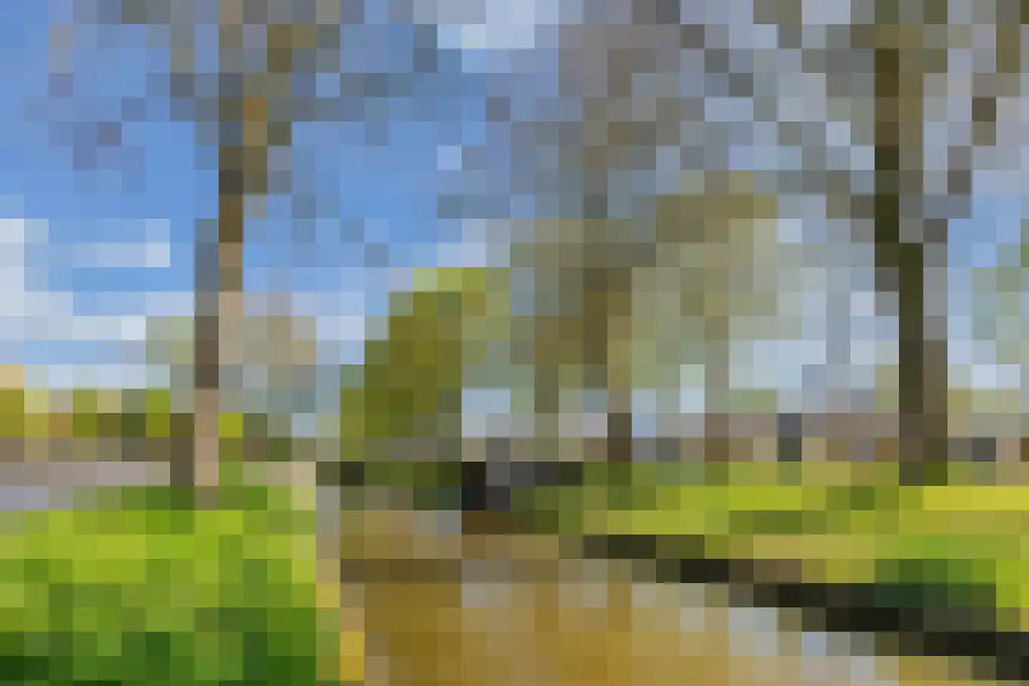 Tanjabuurt 8 Achlum thumbnail 29