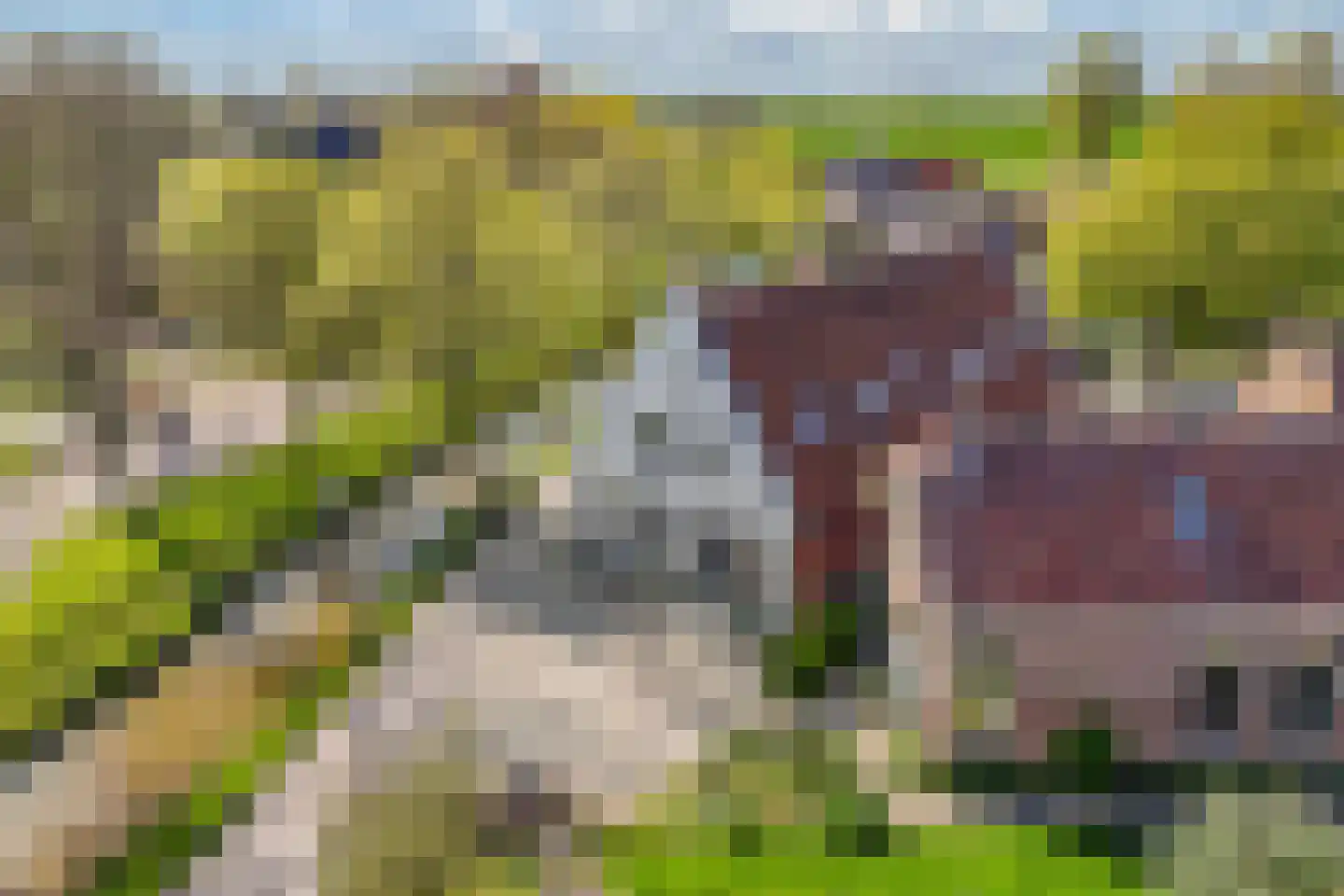 Tanjabuurt 8 Achlum thumbnail 5
