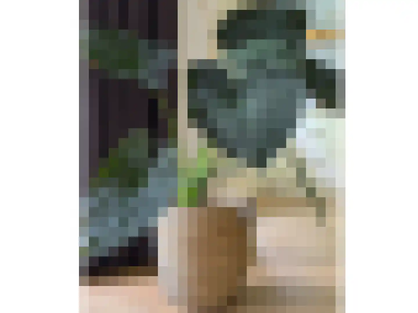 Tankelanden 8 Enschede thumbnail 30