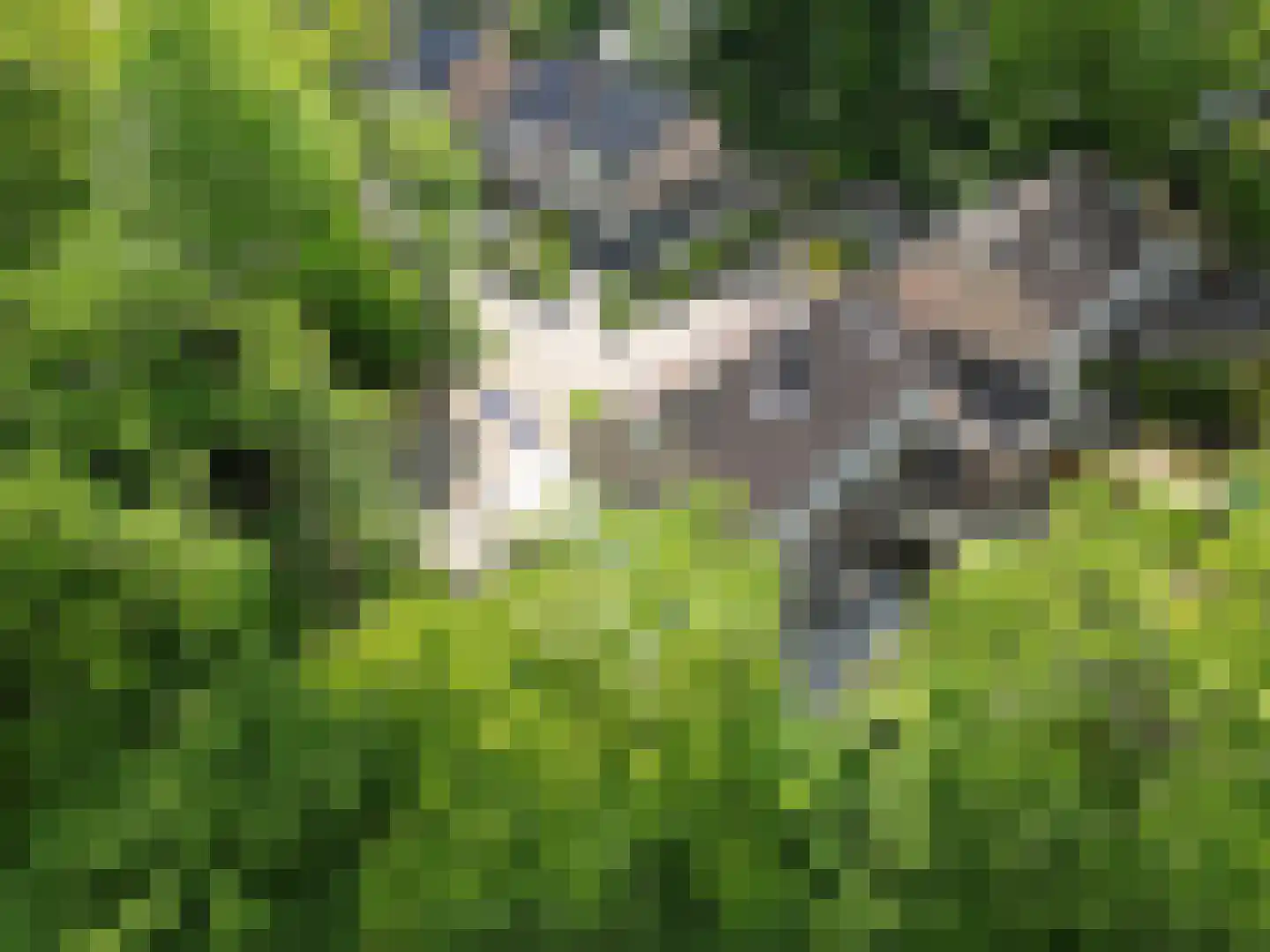 Tankelanden 8 Enschede thumbnail 4