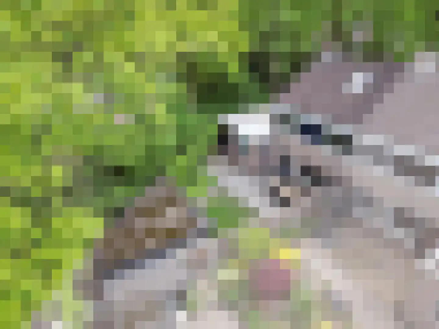 Tankelanden 8 Enschede thumbnail 5