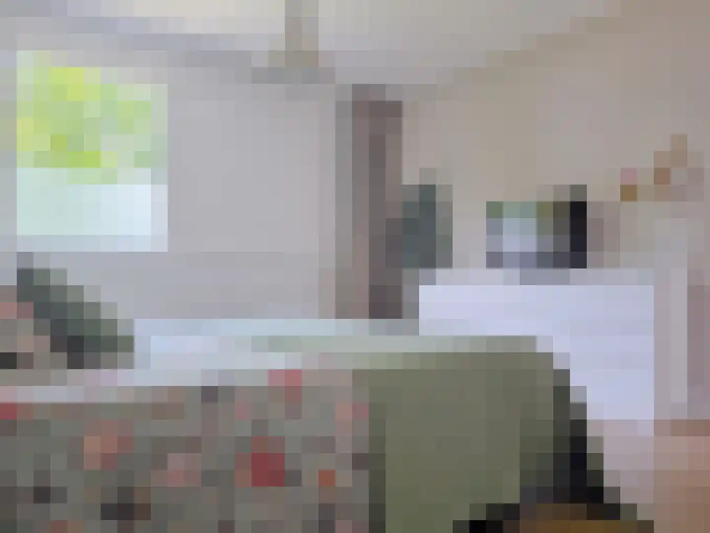 Tankelanden 8 Enschede thumbnail 50