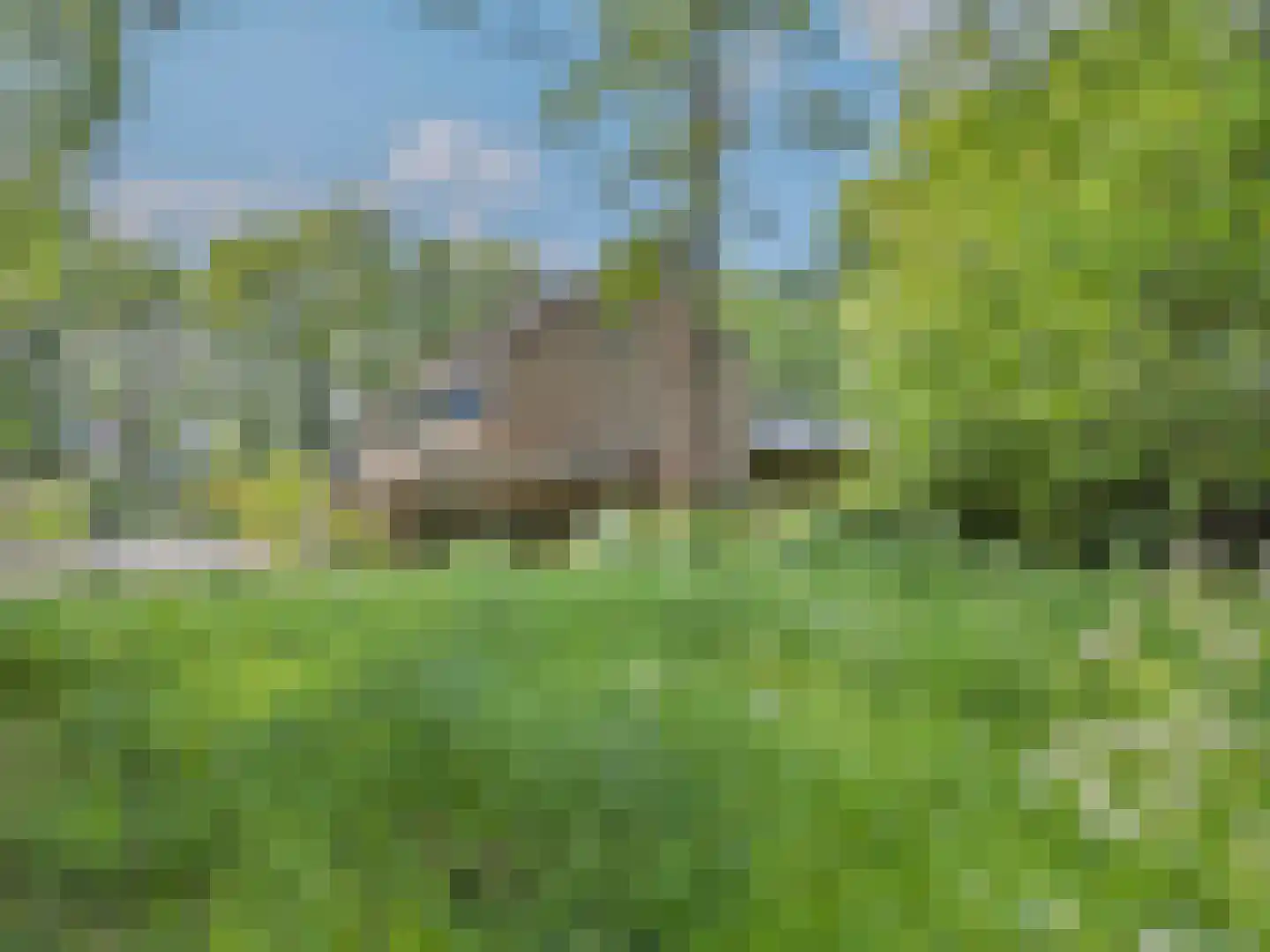 Tankelanden 8 Enschede thumbnail 6