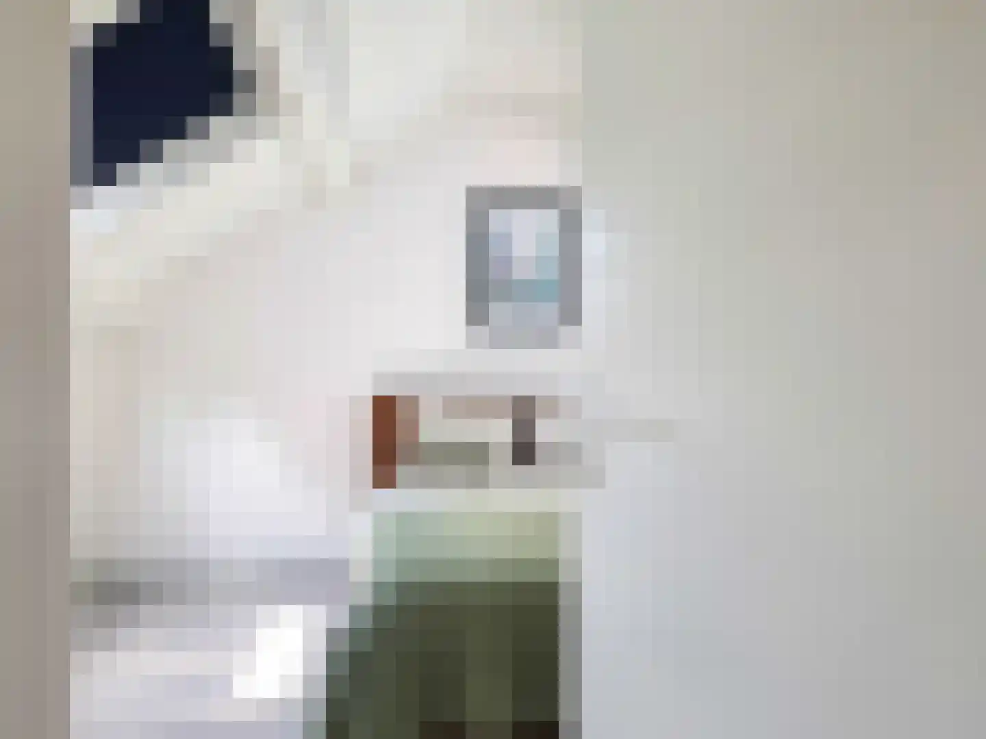 Tankelanden 8 Enschede thumbnail 71