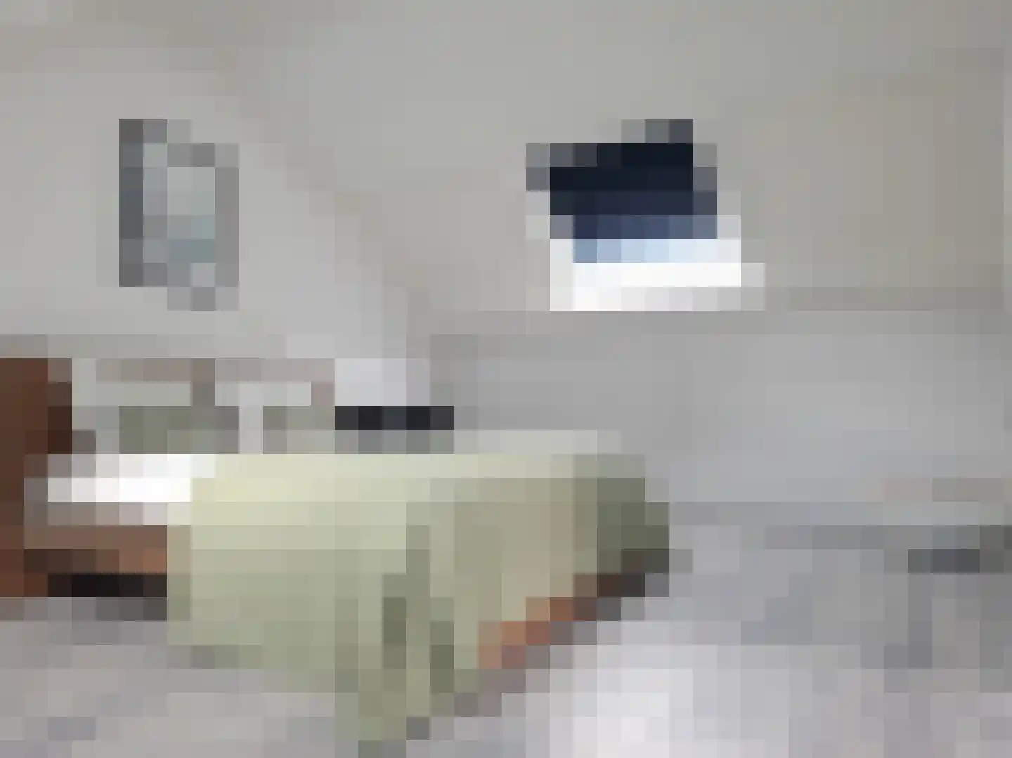 Tankelanden 8 Enschede thumbnail 73