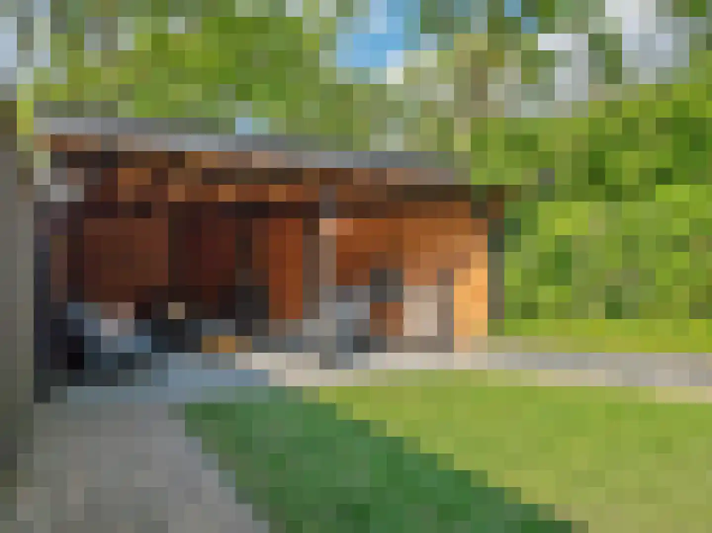 Tankelanden 8 Enschede thumbnail 87