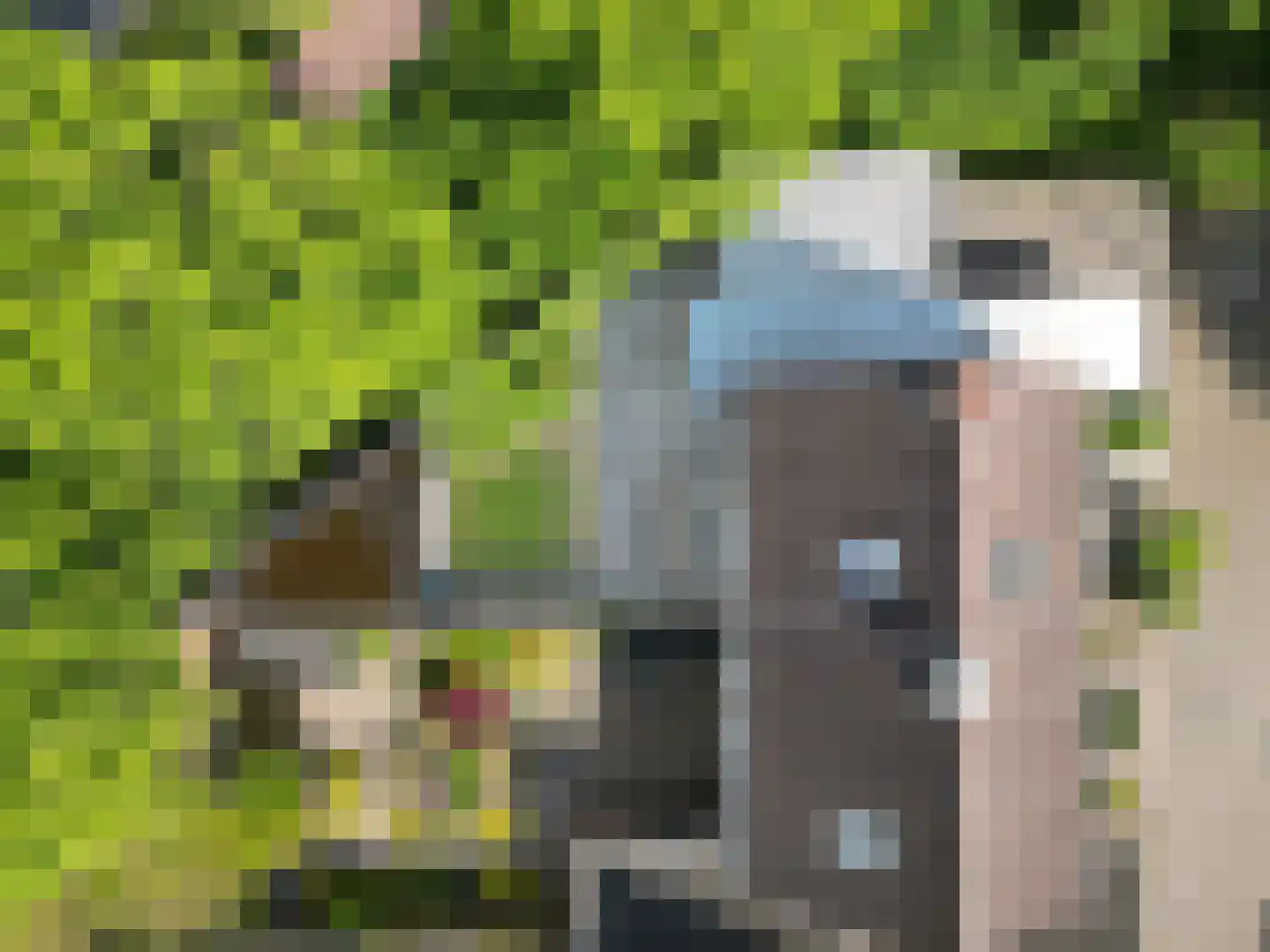 Tankelanden 8 Enschede thumbnail 94