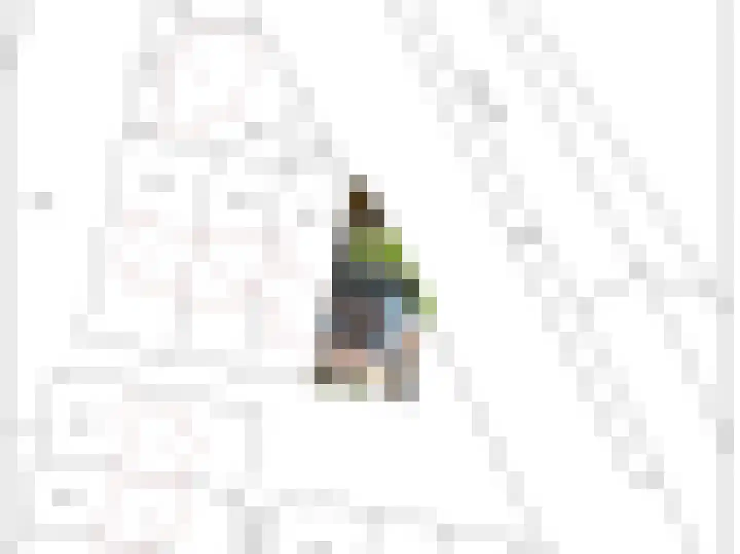 Tankelanden 8 Enschede thumbnail 95