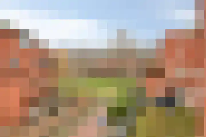 Tankenberg 109 Capelle aan den IJssel thumbnail 12