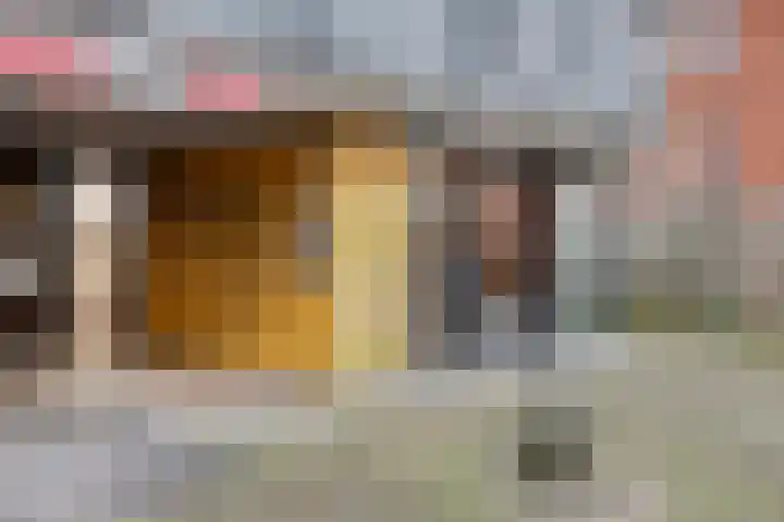 Tankenberg 109 Capelle aan den IJssel thumbnail 23