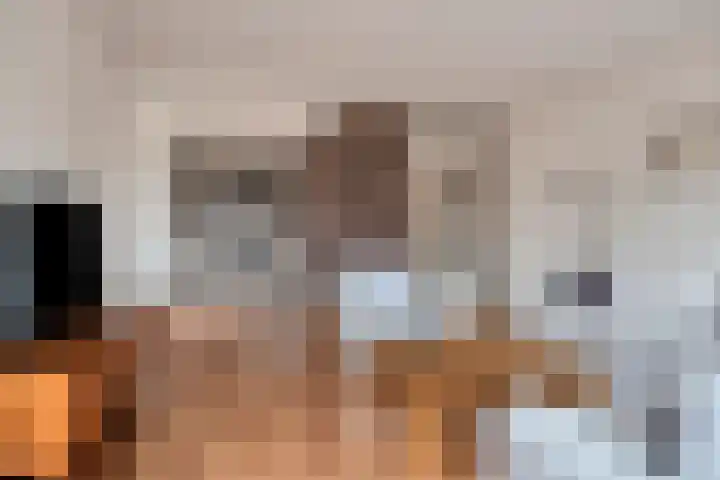 Tankenberg 109 Capelle aan den IJssel thumbnail 7