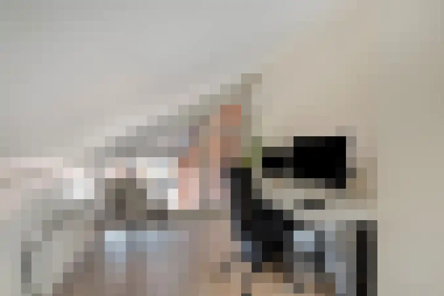 Tankenberg 113 Capelle aan den IJssel thumbnail 30
