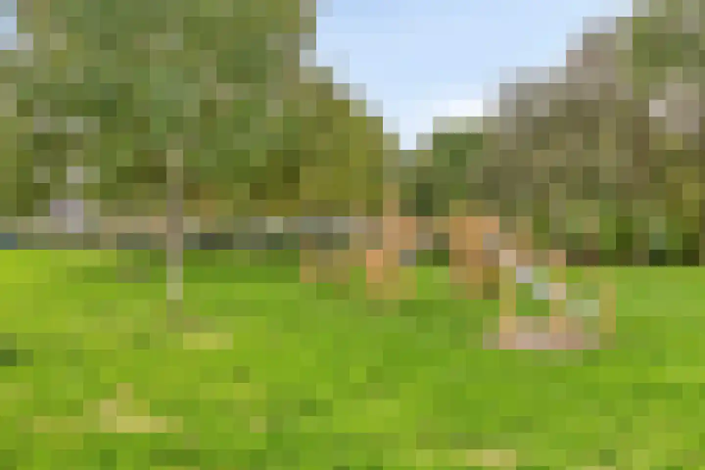 Tankenberg 113 Capelle aan den IJssel thumbnail 36