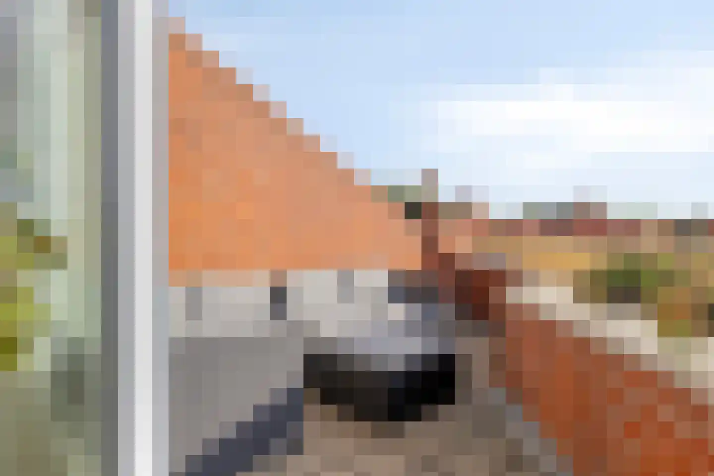 Tankenberg 113 Capelle aan den IJssel thumbnail 5