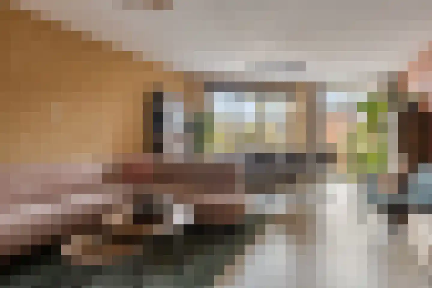 Tankenberg 130 Capelle aan den IJssel thumbnail 13