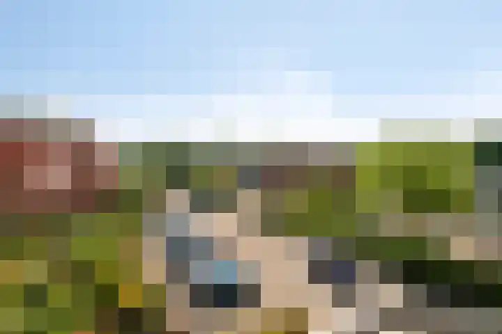 Tankenberg 138 Capelle aan den IJssel thumbnail 18