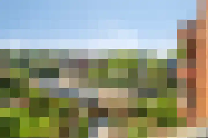 Tankenberg 138 Capelle aan den IJssel thumbnail 24